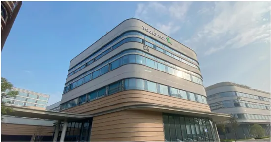 Paper Lanterns Kit Cartoon Animals Toys for Kids Weave Material Fabric DIY Handmade Craft Woven Art 