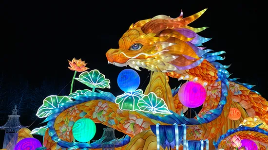Chinese Lantern Festival Customized Dragon Lantern Animal Lantern, Lantern Exhibition Manufacturer 