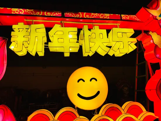 Outdoor Halloween Chinese Lanterns Waterproof Decorative Festival Show Christmas New Year New Design Park 